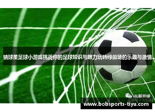猜球星足球小游戏挑战你的足球知识与眼力玩转绿茵场的乐趣与激情